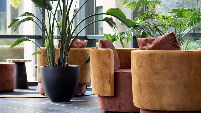 Projectfotograaf Zaandam. Projectfoto's in Zaandam van een kantoorruimte