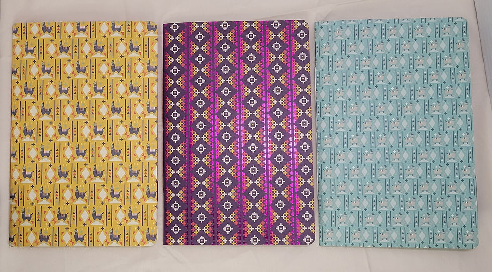 Thumbnail: Southwest Notebook Set