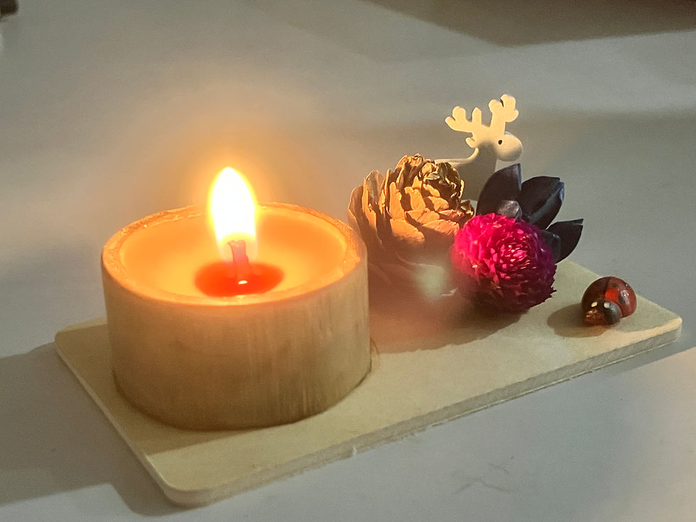 苗栗農事體驗中的竹杯蠟燭DIY,有柚子花的香味、結合乾燥花與松果裝飾