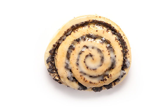 mohnschnecke.jpg