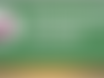 International Conference of Chinese Rheumatologists (ICCR) 2024