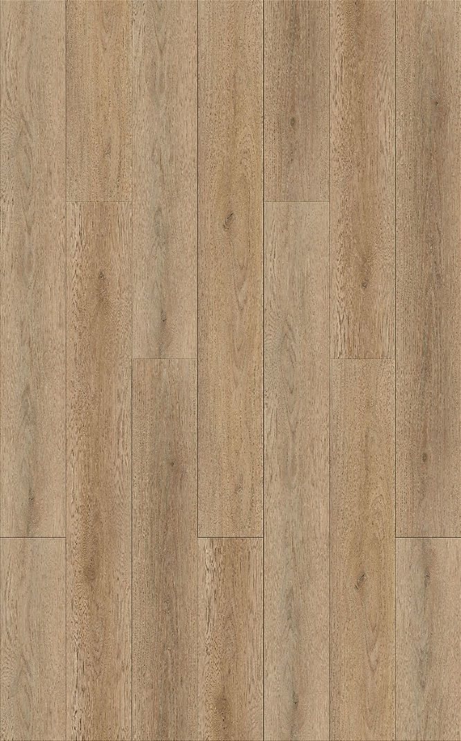 Ivory Oak