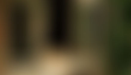 E os pets durante e no pós-pandemia?