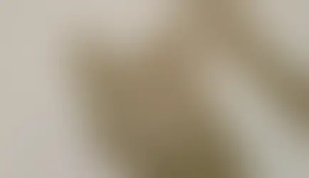 Caminhos com a leitura e a escrita