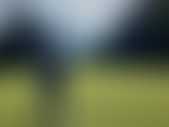 How broomstick putter helped veteran golf pro love golf again