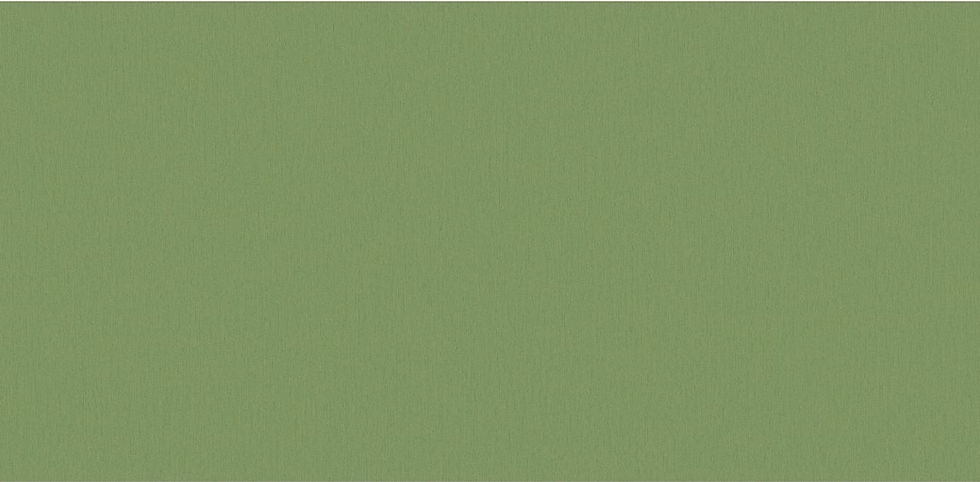 Sage green textured wallpaper Dubai — solid color wall covering with subtle weave texture