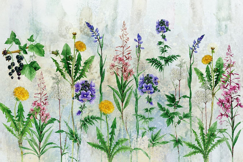 Close-up botanical wildflower illustration wallpaper detail for living rooms in Al Twar