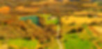 Overhead_Edit 2 copy.JPG