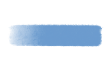 IMG_2015.PNG