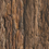 Thumbnail: Tree Bark