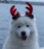 Xmas With Charlie