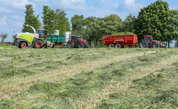 ensilage 05 2018-13