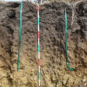 Soils in the Landscape