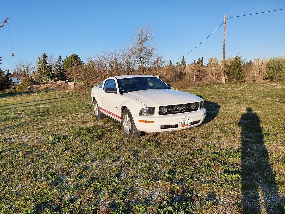 Miniature : MUSTANG V6