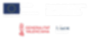FEDER+Ivace+Declaracion-CS (3)-01.png