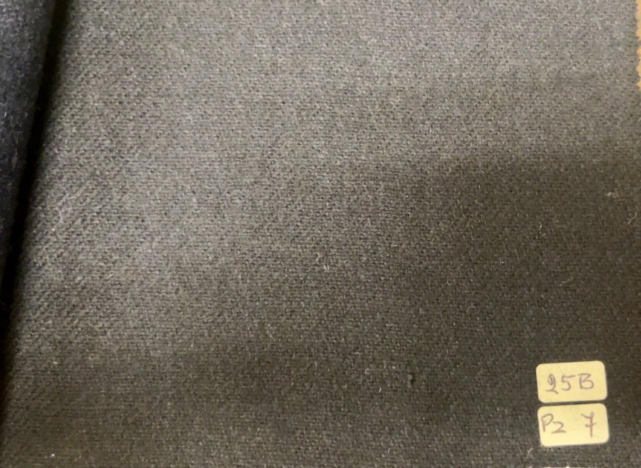 Navy Tatiana Flannel 25B