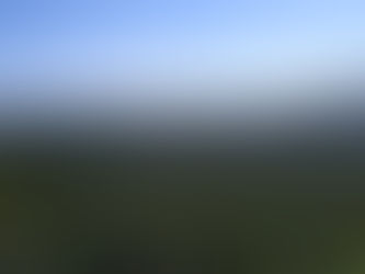 Europe and Indonesia at Odds: The Ongoing Debate over the European Union’s Palm Oil Legislation