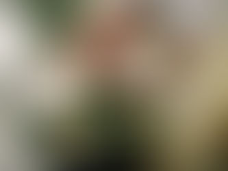 Culinary Heritage: Food as a Tool for Cultural Exchange