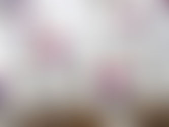 “From Dissident to President”: Assessing President Moon Jae-in’s Term - Part 2: Foreign Affairs