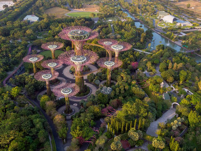Singapore: Green Urban Leader and Sustainability Success