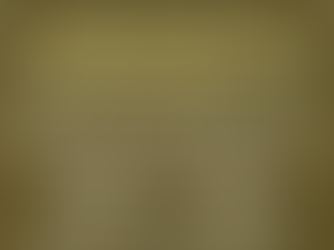 CAMBIO EN SISTEMA DE AUDIENCIA