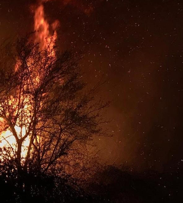 Las pavesas como mecanismo de generación de incendios secundarios: de un fuego doméstico a un evento de gran magnitud