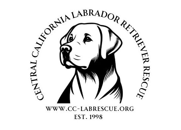 Klr Lab Rescue CCLRR | Central California Lab Rescue