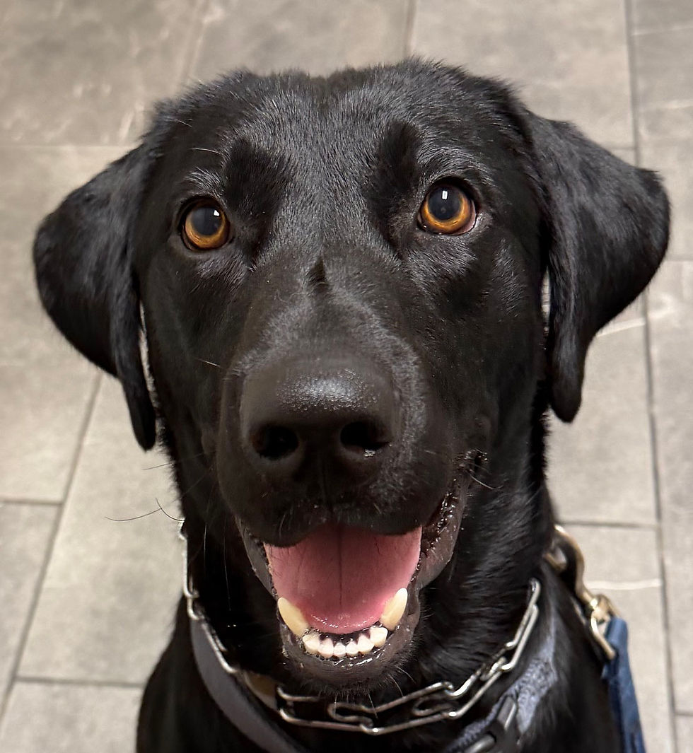 Cooper 08-03-26