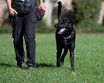 Rue 11-11-25 (8).jpg