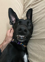 Blossom 10-26-25 (12).jpeg