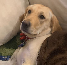 Sahara 12-01-25 (1).jpeg