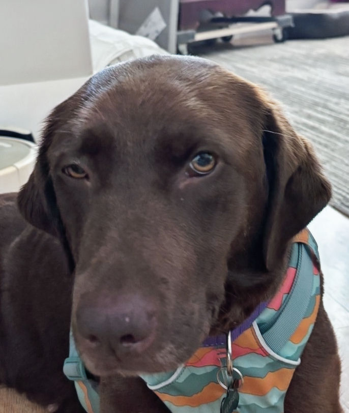 Winnie