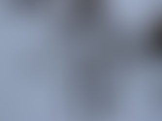 Fenchelkraut lässt sich mit Eiskristallen edel berieseln