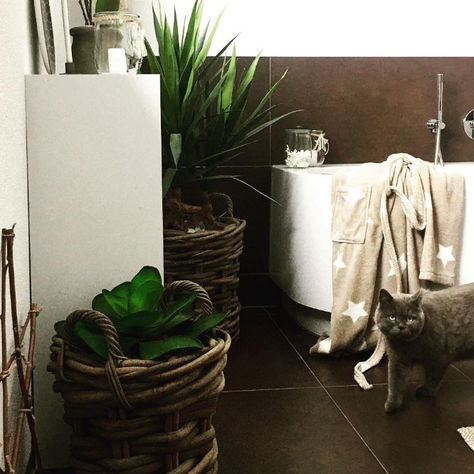 Unser Smokey, Erziehung schlichtweg unmöglich