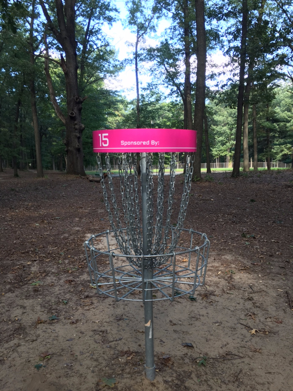 Disc Golf Basket Pinhead