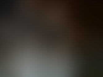 Enajsta šola pod mostom: recikliranje mesta