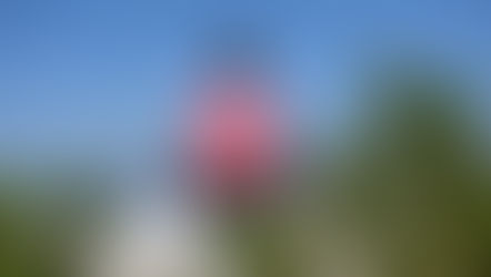 Jesenska joga v Planici