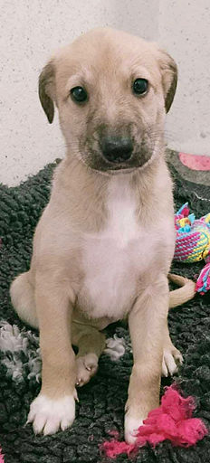 skylar_4 (Mittel).jpg