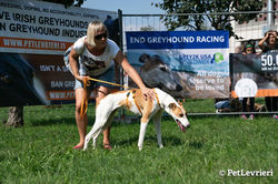 41380359_1889935861090260_57236141389580