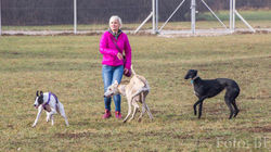 12309623_10153400788978402_5066393401781568774_o