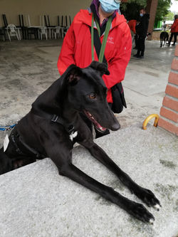 IMG_20201003_105657 (Medium)