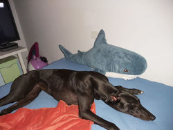 233262622_4088231104546029_8451924059415293002_n