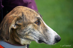 125898840_3511231502294013_6301167108814