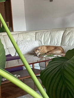 291105579_554067116375367_4602250816770268934_n