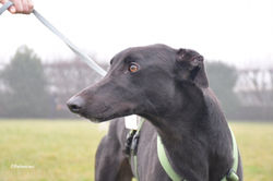 147412448_3725367627547065_7718130428522585061_o