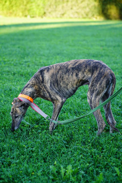 120370147_3371504142933417_5786043127249