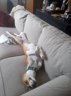 301920239_863004838197070_4130061579448829298_n