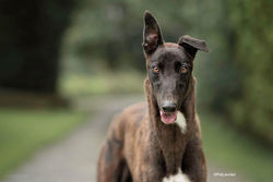 117390333_1169096536795843_5568331332461