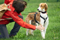 347591064_1933144753706048_2395116428131879505_n