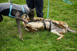 125340547_3511367145613782_7785625277121